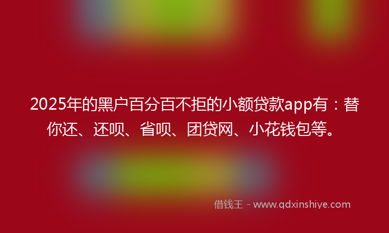 2025年的黑户百分百不拒的小额贷款app有：替你还、还呗、省呗、团贷网、小花钱包等。