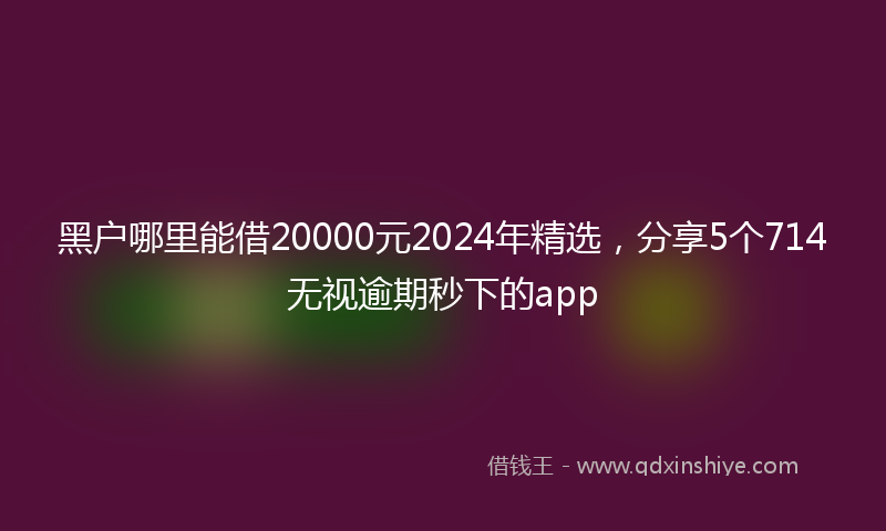 黑户哪里能借20000元2024年精选，分享5个714无视逾期秒下的app