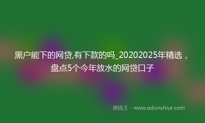 黑户能下的网贷,有下款的吗_20202025年精选，盘点5个今年放水的网贷口子