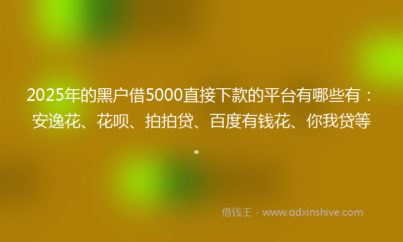 2025年的黑户借5000直接下款的平台有哪些有：安逸花、花呗、拍拍贷、百度有钱花、你我贷等。