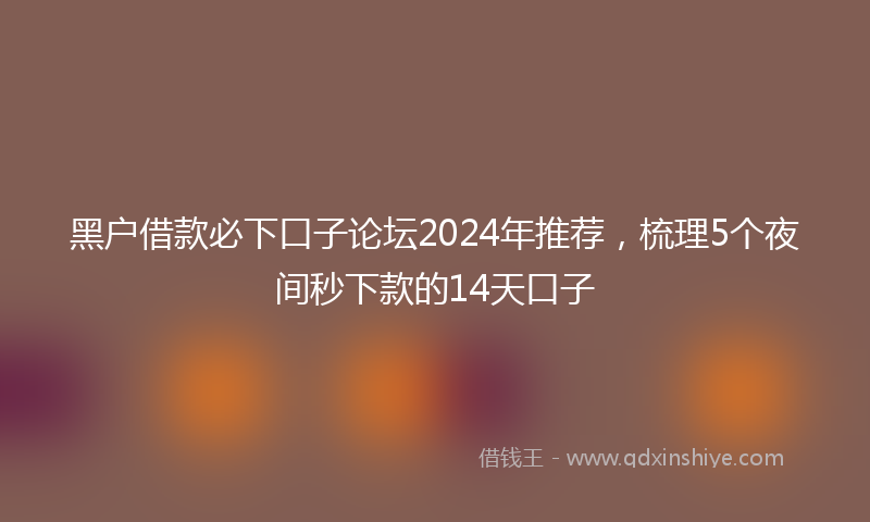 黑户借款必下口子论坛2024年推荐，梳理5个夜间秒下款的14天口子