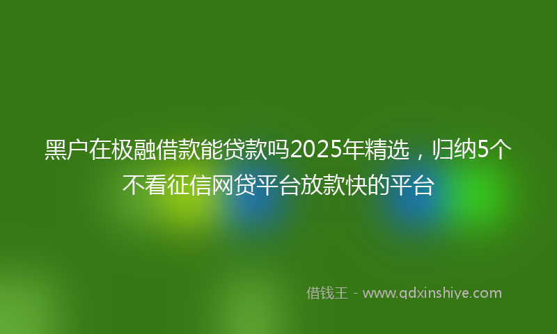 黑户在极融借款能贷款吗2025年精选，归纳5个不看征信网贷平台放款快的平台