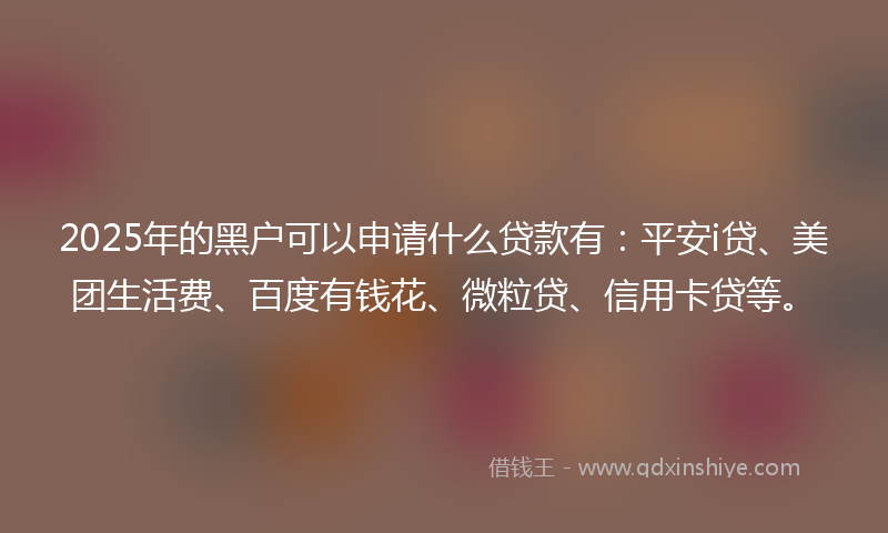 2025年的黑户可以申请什么贷款有：平安i贷、美团生活费、百度有钱花、微粒贷、信用卡贷等。