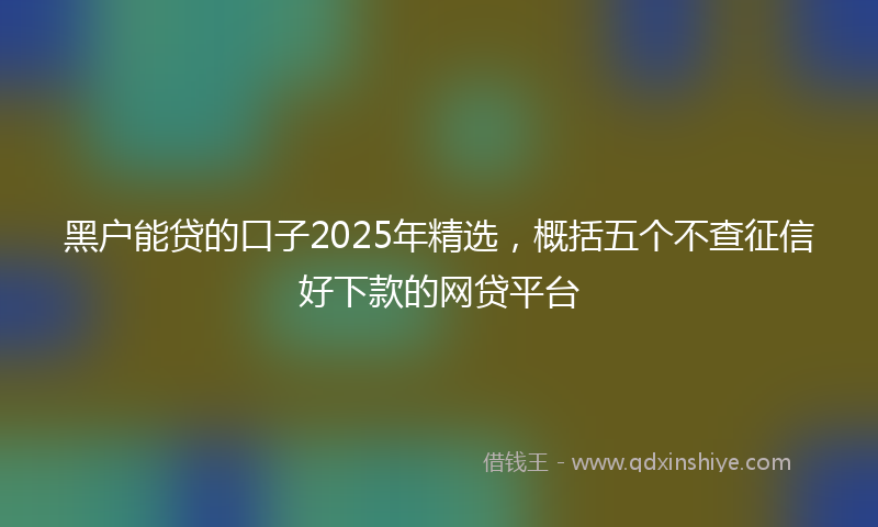 黑户能贷的口子2025年精选，概括五个不查征信好下款的网贷平台