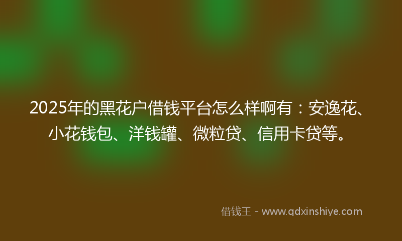 2025年的黑花户借钱平台怎么样啊有：安逸花、小花钱包、洋钱罐、微粒贷、信用卡贷等。