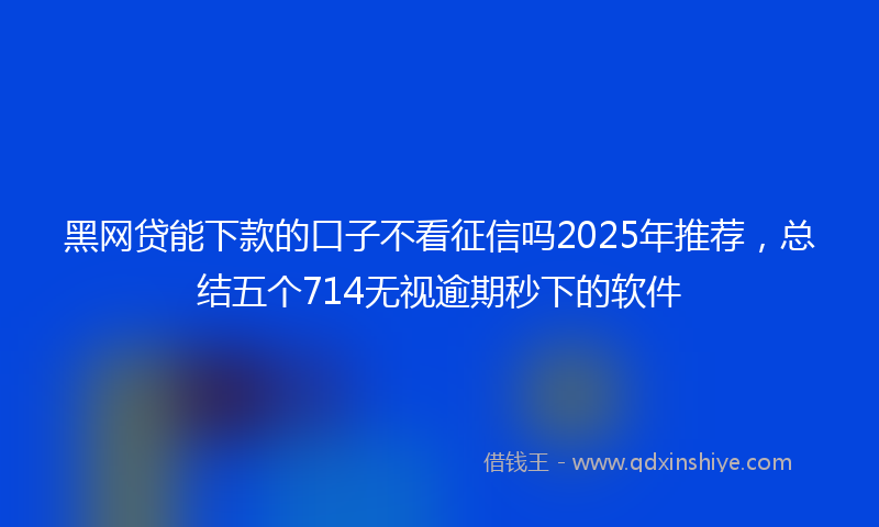 黑网贷能下款的口子不看征信吗2025年推荐，总结五个714无视逾期秒下的软件