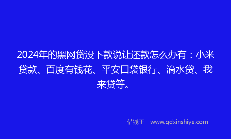2024年的黑网贷没下款说让还款怎么办有：小米贷款、百度有钱花、平安口袋银行、滴水贷、我来贷等。