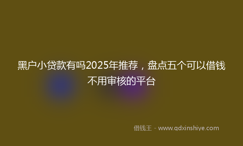 黑户小贷款有吗2025年推荐，盘点五个可以借钱不用审核的平台