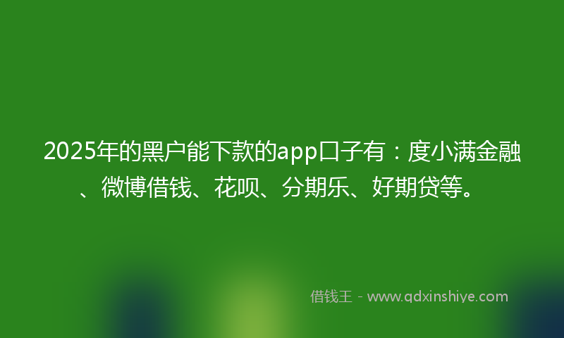 2025年的黑户能下款的app口子有：度小满金融、微博借钱、花呗、分期乐、好期贷等。