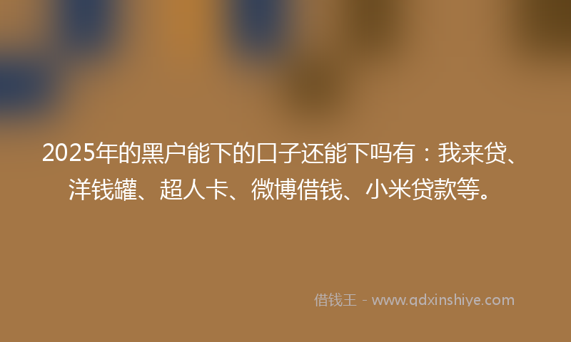2025年的黑户能下的口子还能下吗有：我来贷、洋钱罐、超人卡、微博借钱、小米贷款等。