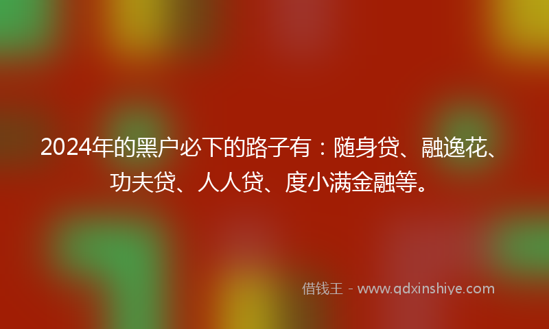 2024年的黑户必下的路子有：随身贷、融逸花、功夫贷、人人贷、度小满金融等。