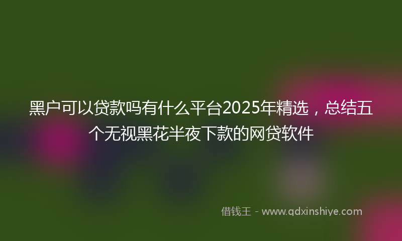 黑户可以贷款吗有什么平台2025年精选，总结五个无视黑花半夜下款的网贷软件