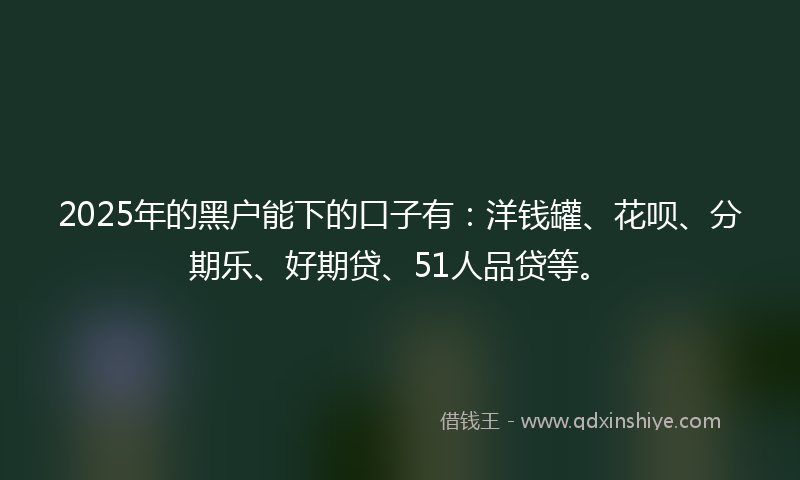 2025年的黑户能下的口子有：洋钱罐、花呗、分期乐、好期贷、51人品贷等。