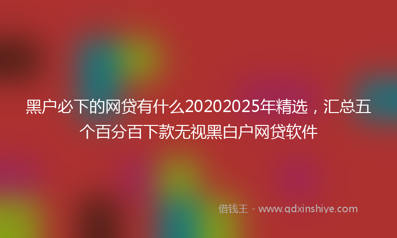 黑户必下的网贷有什么20202025年精选，汇总五个百分百下款无视黑白户网贷软件