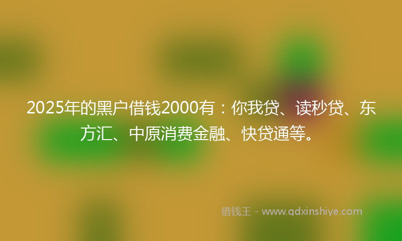 2025年的黑户借钱2000有：你我贷、读秒贷、东方汇、中原消费金融、快贷通等。