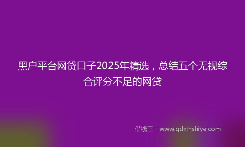 黑户平台网贷口子2025年精选，总结五个无视综合评分不足的网贷