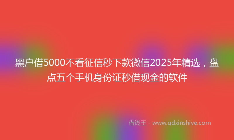 黑户借5000不看征信秒下款微信2025年精选，盘点五个手机身份证秒借现金的软件