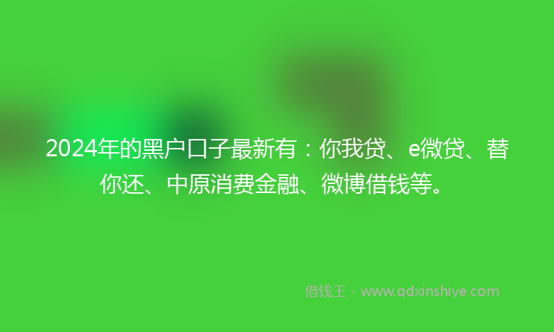 2024年的黑户口子最新有：你我贷、e微贷、替你还、中原消费金融、微博借钱等。