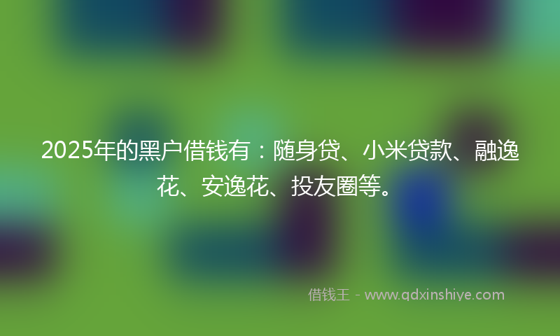 2025年的黑户借钱有：随身贷、小米贷款、融逸花、安逸花、投友圈等。