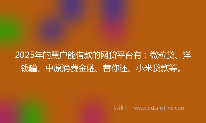 2025年的黑户能借款的网贷平台有：微粒贷、洋钱罐、中原消费金融、替你还、小米贷款等。