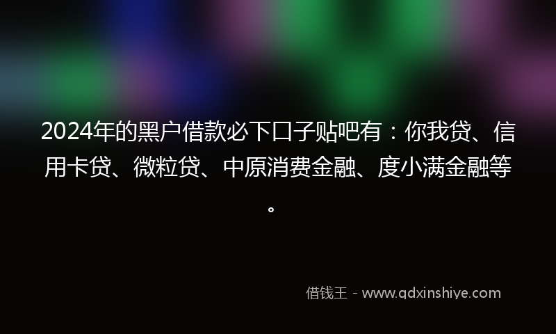 2024年的黑户借款必下口子贴吧有：你我贷、信用卡贷、微粒贷、中原消费金融、度小满金融等。