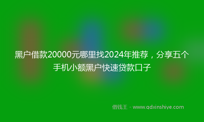 黑户借款20000元哪里找2024年推荐，分享五个手机小额黑户快速贷款口子