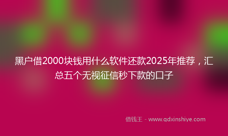 黑户借2000块钱用什么软件还款2025年推荐，汇总五个无视征信秒下款的口子