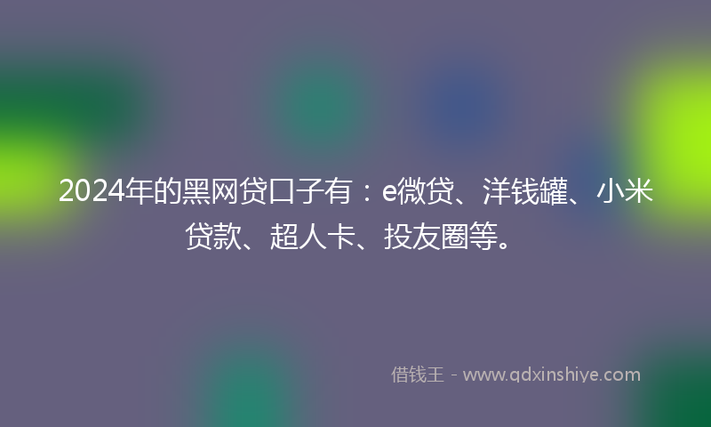 2024年的黑网贷口子有：e微贷、洋钱罐、小米贷款、超人卡、投友圈等。