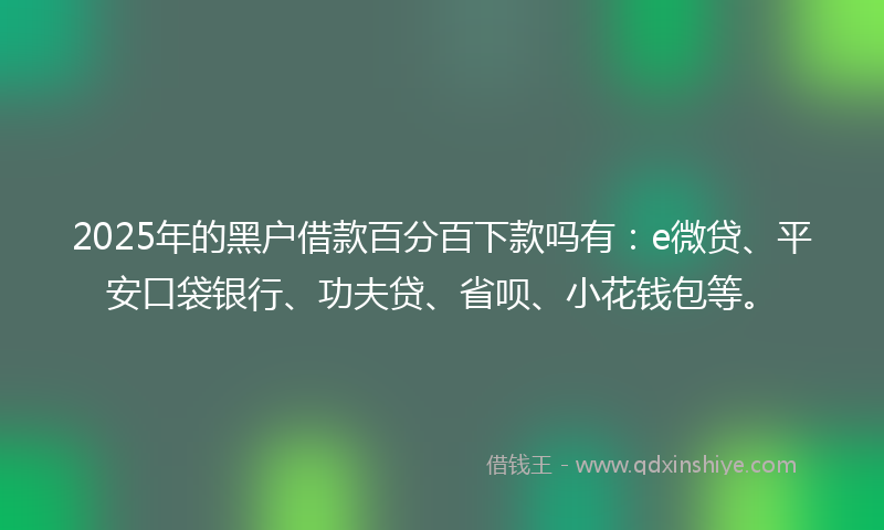 2025年的黑户借款百分百下款吗有：e微贷、平安口袋银行、功夫贷、省呗、小花钱包等。