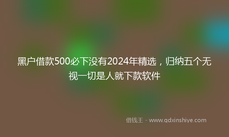 黑户借款500必下没有2024年精选，归纳五个无视一切是人就下款软件