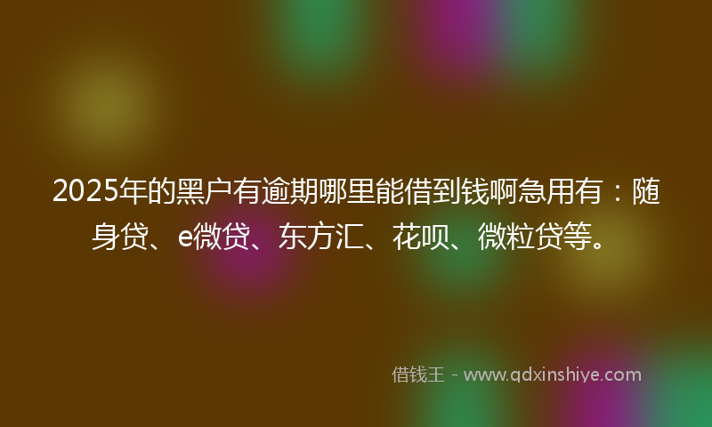 2025年的黑户有逾期哪里能借到钱啊急用有：随身贷、e微贷、东方汇、花呗、微粒贷等。