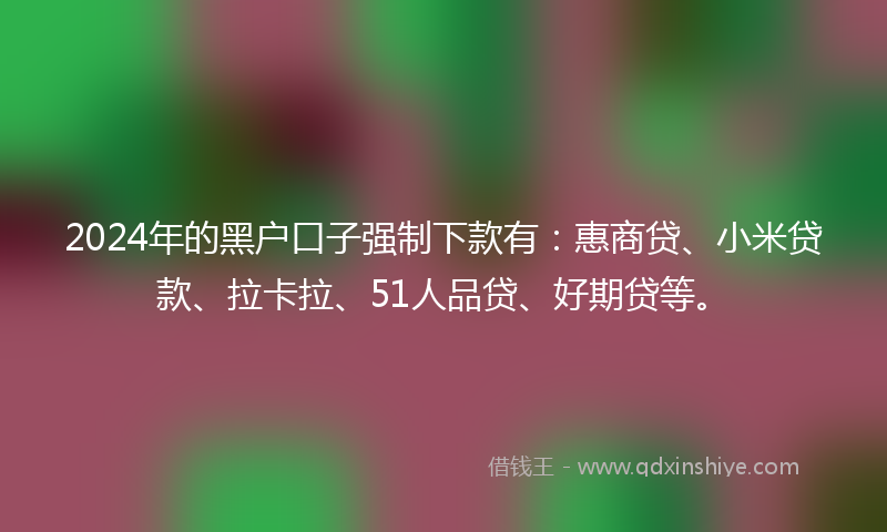 2024年的黑户口子强制下款有：惠商贷、小米贷款、拉卡拉、51人品贷、好期贷等。