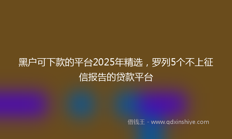 黑户可下款的平台2025年精选，罗列5个不上征信报告的贷款平台