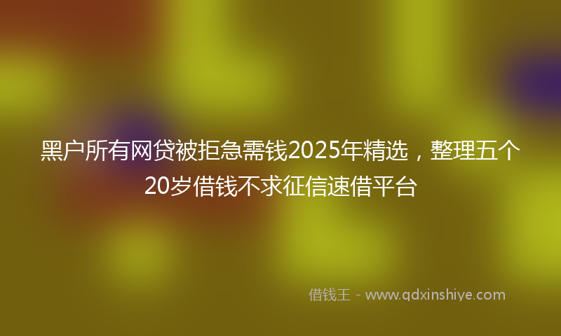 黑户所有网贷被拒急需钱2025年精选，整理五个20岁借钱不求征信速借平台