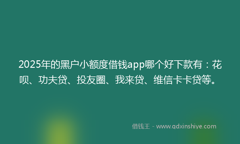 2025年的黑户小额度借钱app哪个好下款有：花呗、功夫贷、投友圈、我来贷、维信卡卡贷等。