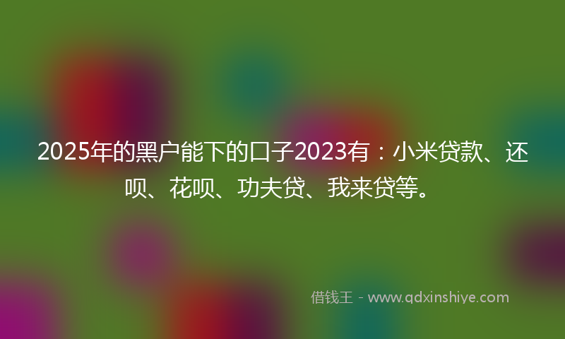2025年的黑户能下的口子2023有：小米贷款、还呗、花呗、功夫贷、我来贷等。