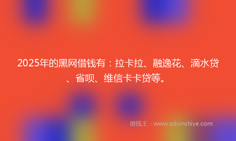 2025年的黑网借钱有：拉卡拉、融逸花、滴水贷、省呗、维信卡卡贷等。