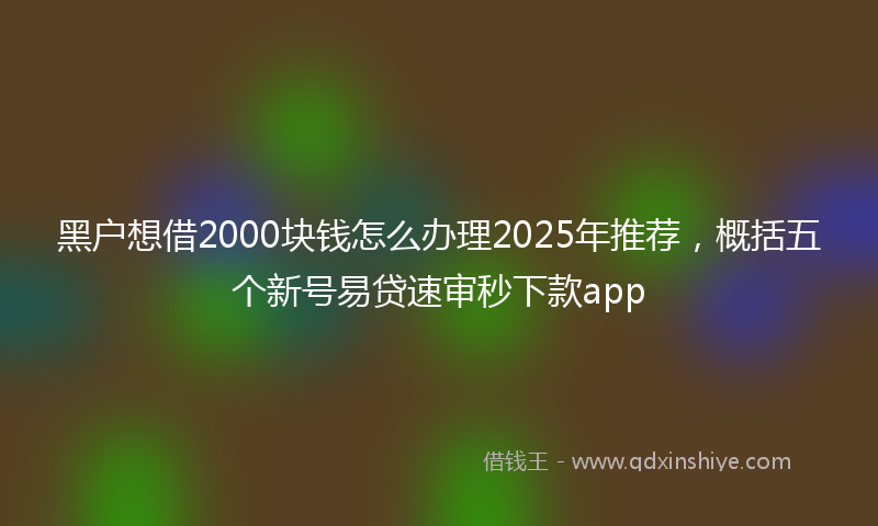 黑户想借2000块钱怎么办理2025年推荐，概括五个新号易贷速审秒下款app