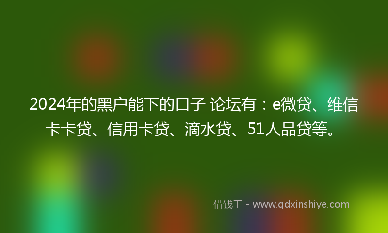 2024年的黑户能下的口子 论坛有：e微贷、维信卡卡贷、信用卡贷、滴水贷、51人品贷等。