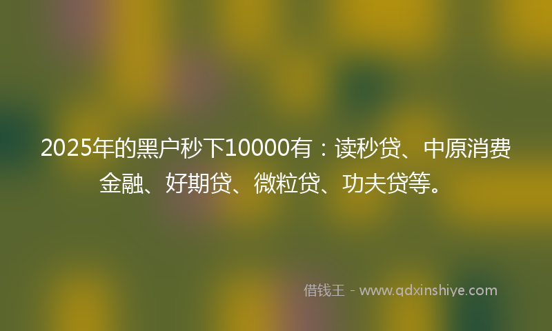 2025年的黑户秒下10000有：读秒贷、中原消费金融、好期贷、微粒贷、功夫贷等。