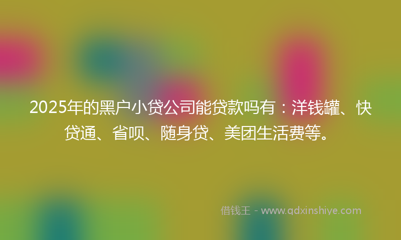 2025年的黑户小贷公司能贷款吗有：洋钱罐、快贷通、省呗、随身贷、美团生活费等。