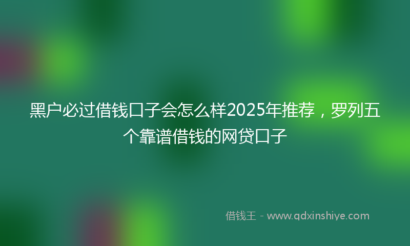 黑户必过借钱口子会怎么样2025年推荐，罗列五个靠谱借钱的网贷口子