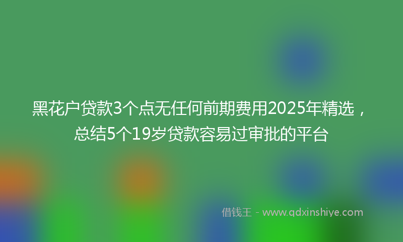黑花户贷款3个点无任何前期费用2025年精选，总结5个19岁贷款容易过审批的平台
