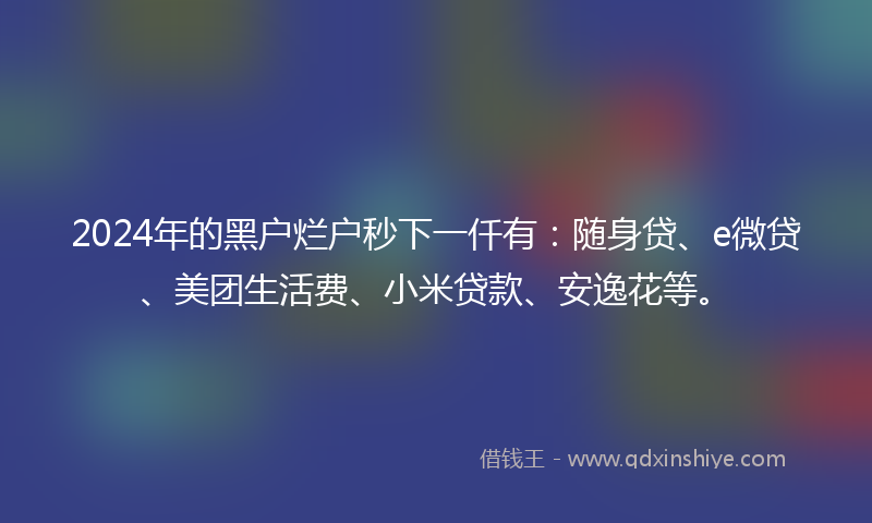 2024年的黑户烂户秒下一仟有：随身贷、e微贷、美团生活费、小米贷款、安逸花等。
