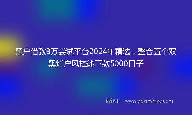 黑户借款3万尝试平台2024年精选，整合五个双黑烂户风控能下款5000口子