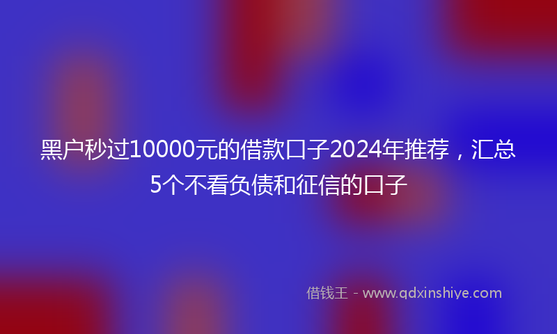 黑户秒过10000元的借款口子2024年推荐，汇总5个不看负债和征信的口子