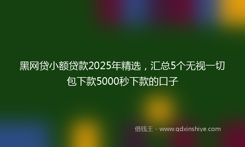 黑网贷小额贷款2025年精选，汇总5个无视一切包下款5000秒下款的口子