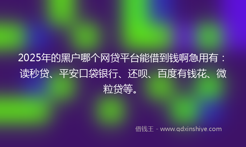 2025年的黑户哪个网贷平台能借到钱啊急用有：读秒贷、平安口袋银行、还呗、百度有钱花、微粒贷等。