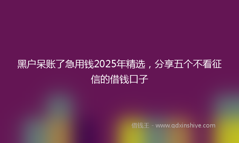 黑户呆账了急用钱2025年精选，分享五个不看征信的借钱口子