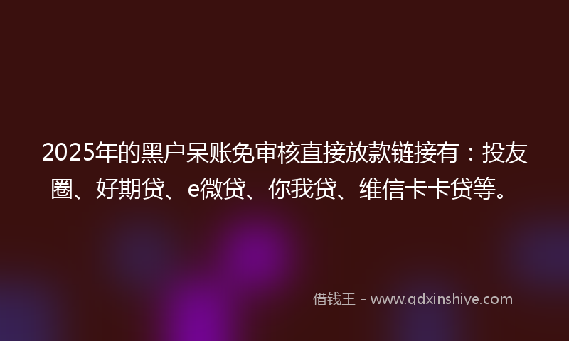 2025年的黑户呆账免审核直接放款链接有：投友圈、好期贷、e微贷、你我贷、维信卡卡贷等。